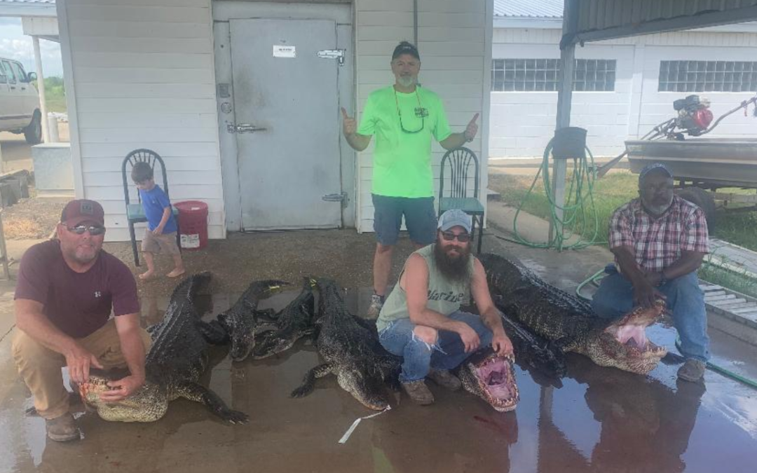 Two Day Alligator Hunt Held for Three WWHr Disabled Veterans